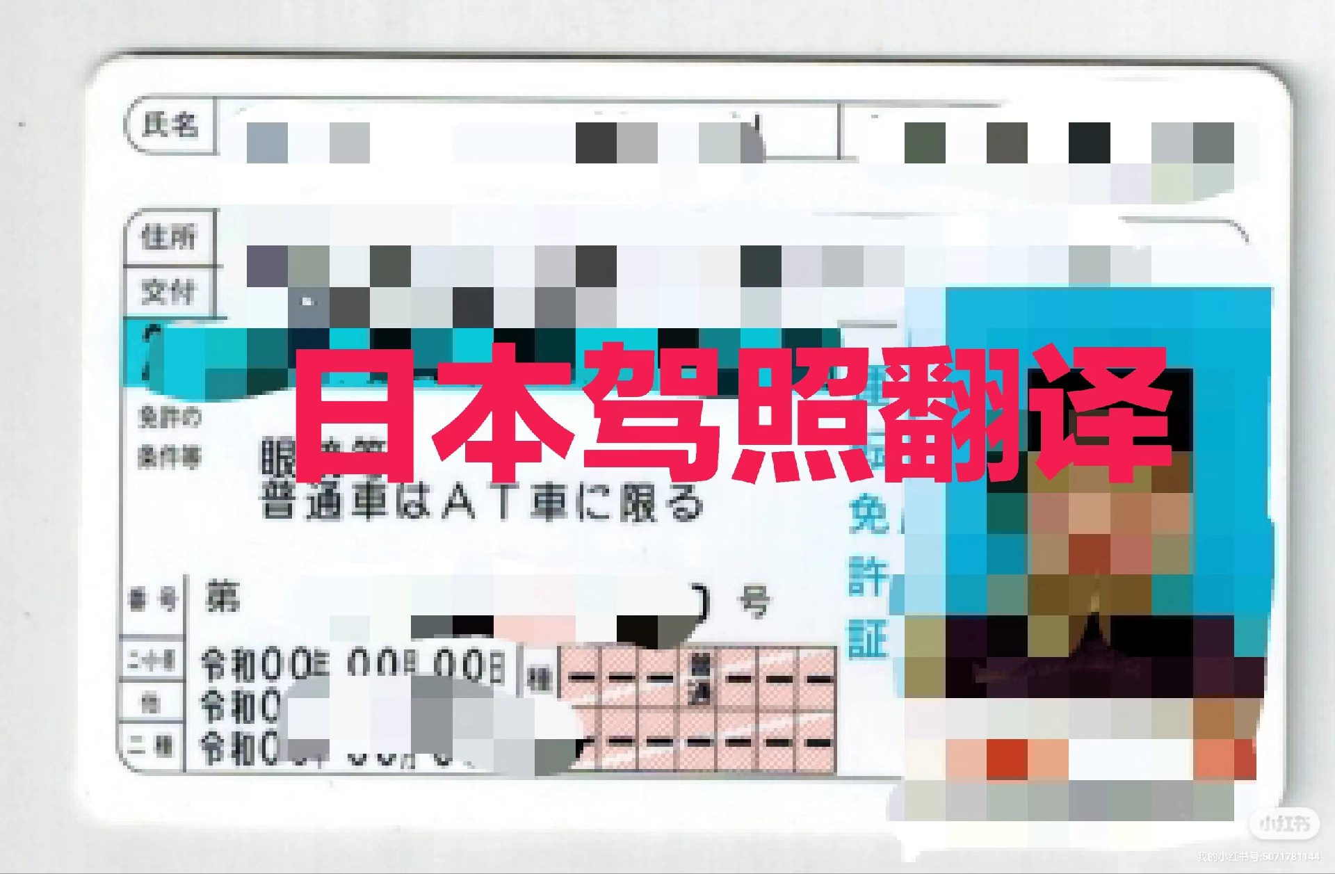日本驾照翻译模板
